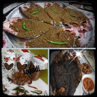 ماهی غزال جنوب