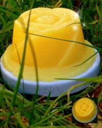 ژله شیر (انبه)