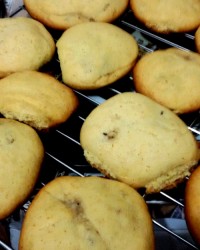 کلوچه گردویی