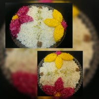 دیس پلوم از نمای نزدیک