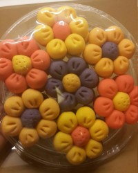 پاپاتیا های خوشگل من .