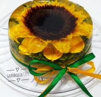 ژله تزریقی افتاب گردون