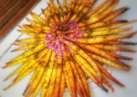 خاگینه سیگارت