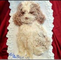 تزئین پشمک یلدایی