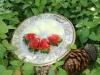 ژله ویترینی توت فرنگی