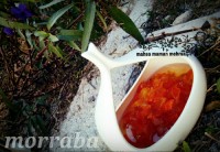 مربای پوست نارنج