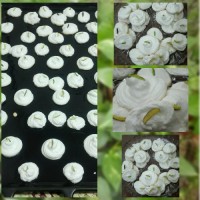 شیرینی پفکی نارگیلی