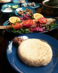 ماهی سفیدفیویج باکته دودی
