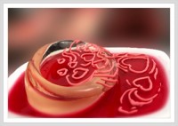 ژله حوض عشق