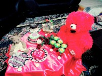 ولنتاین من و عشقم