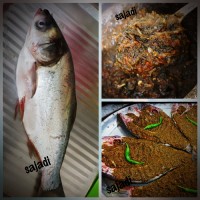 حشو ماهی جنوب