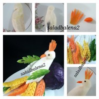 پرنده با سبزیجات