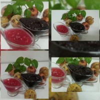 محصولات انار ترش گیلانی