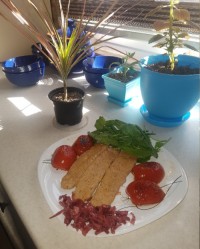 کوبیده مرغ تابه ایی