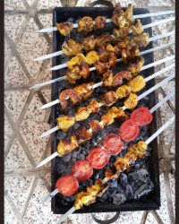 جوجه کباب جاتون سبزدوستان