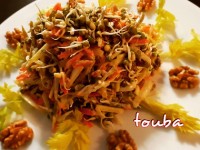 سالاد جوانه ماش