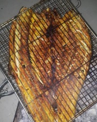 دوباره ماهی کبابی ،خیلی چسبید