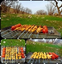 جوجه زعفرونی