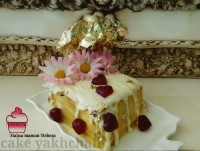 کیک یخچالی کاسترد