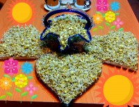 عدسی عیدانه