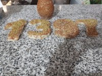 سبزه هفت سین من