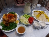 مرغ شکم پررررر