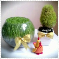 سبزه هفت سین