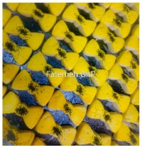 نان فسایی (کماچ)