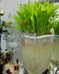 ژله سبزه عید