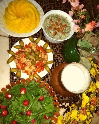 خوراک وابیشگای مرغ بابورانی وکته زعفرانی