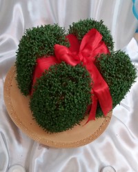 ❤سبزه کادویی❤