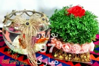 سبزه وتنگ ماهی عید