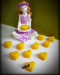 شکومالدنارگیلی