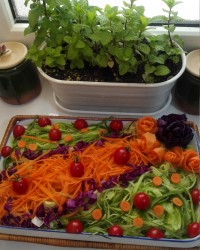 سالاد فصل من