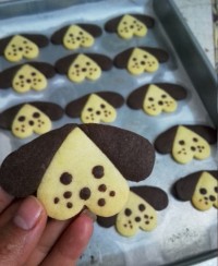 کوکی نماد سال 97