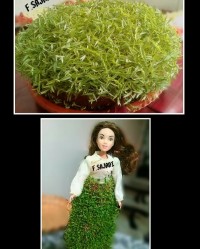 سبزه عید ۹۷