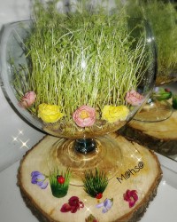 سبزه عدس عید نوروز 1397