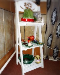 اینم از هفت سین ما