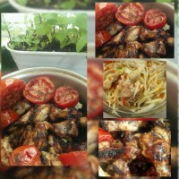 جوجه کباب سیزده بدر در منزل