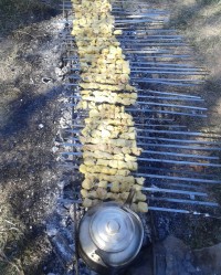 کباب سیزده بدر