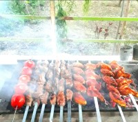 کباب روز سیزده بدر