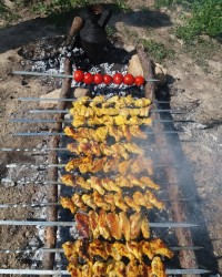 جوجه کباب سیزده بدر