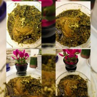 مرغ ترش گیلانی