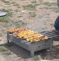 جوجه سیزده بدر