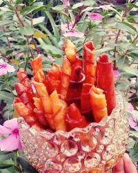 خاگینه سیگاراتی مری پز