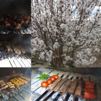 سیزده به در