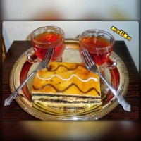 تی تاب خونگی