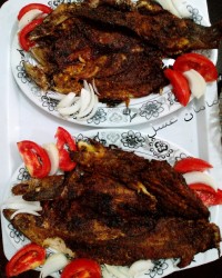 ماهی قزل آلای کبابی تند