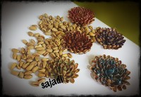 تزیینات پسته (گل برجسته)