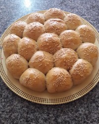 نون لانه زنبوری